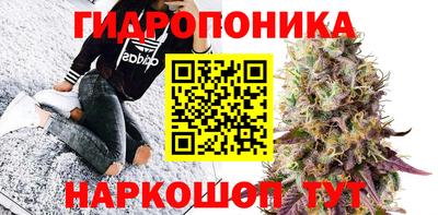 крисы Братск