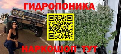 эйфоретик Боровичи