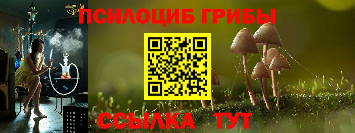 Псилоцибиновые грибы Cubensis  Вход с VPN  Прокопьевск  Галлюциногенные грибы ЛСД 